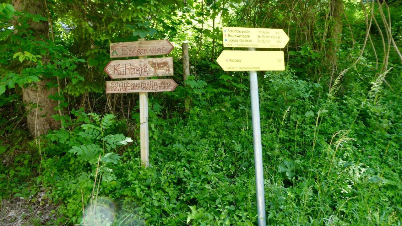 Romantische Ferienhuette Nationalpark Kalkalpen, Sonnig, 2 Schlafzimmer, Wlan Kleinreifling Exteriér fotografie
