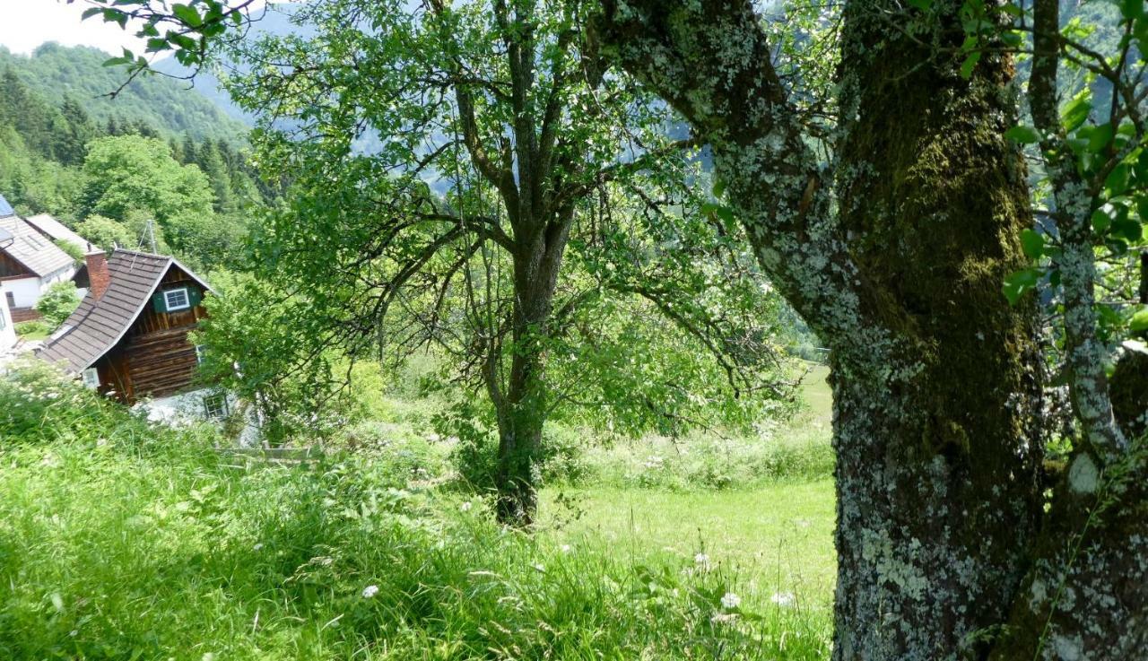 Romantische Ferienhuette Nationalpark Kalkalpen, Sonnig, 2 Schlafzimmer, Wlan Kleinreifling Exteriér fotografie